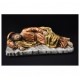 San Jose Dormido en...