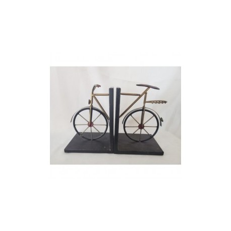 Portalibros de bicicleta