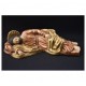 San Jose Dormido en...